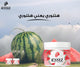 اسيسز مقشر بطيخ 350م